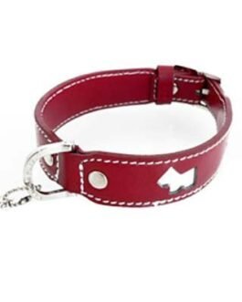Dog Collars