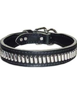 Dog Collars