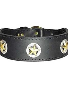 Dog Collars