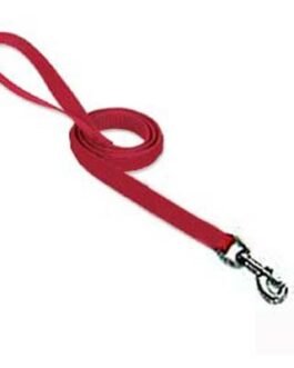 Dog Leads