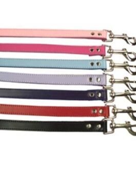 Dog Leads