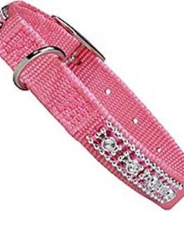 Dog Leads