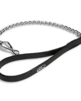 Dog Leads