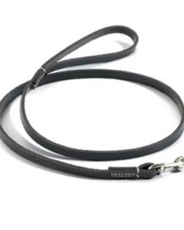 Dog Leads