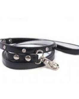 Dog Leads