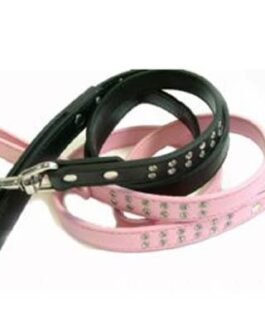 Dog Leads
