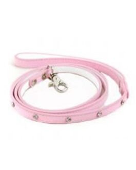 Dog Leads