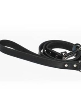 Dog Leads