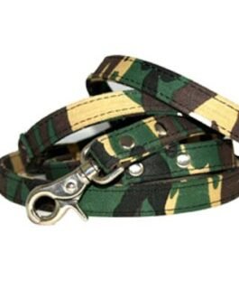 Dog Leads