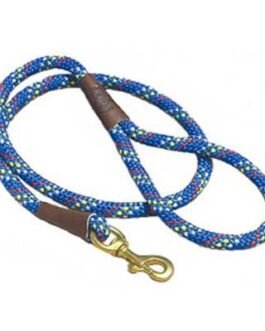 Dog Leads