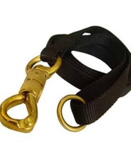 Dog Leads