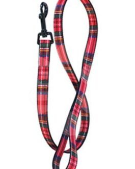 Dog Leads