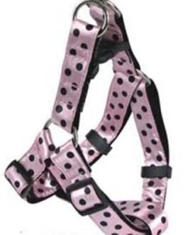 Dog Leads