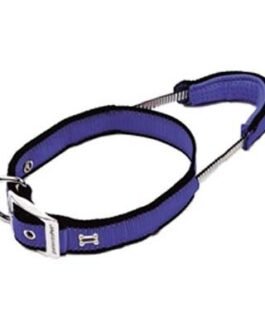 Dog Leads